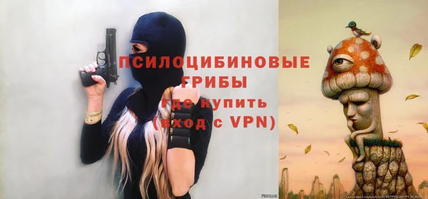 мдпв Пролетарск