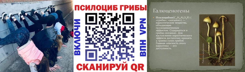 Галлюциногенные грибы мухоморы MEGA онион Кемерово